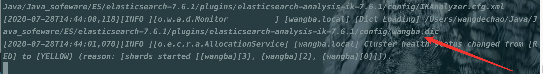 image-20200728144452860